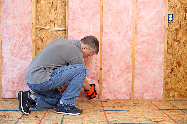 Best Insulation Removal  in Remgton, IN